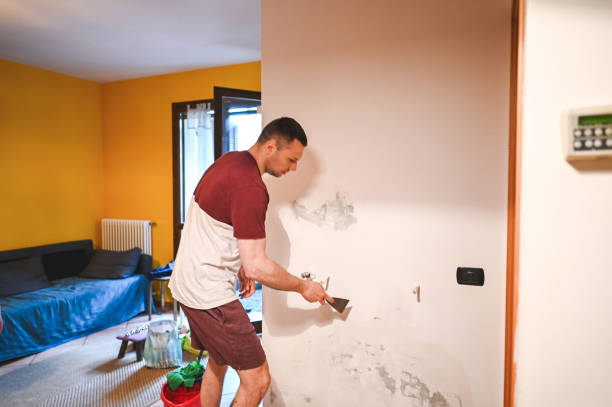 Best Bathroom Mold Remediation in Cedar Grove, FL